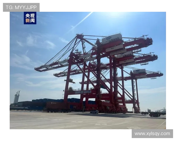 上海海港发展新战略：提升国际物流枢纽地位，推动区域经济高质量增长